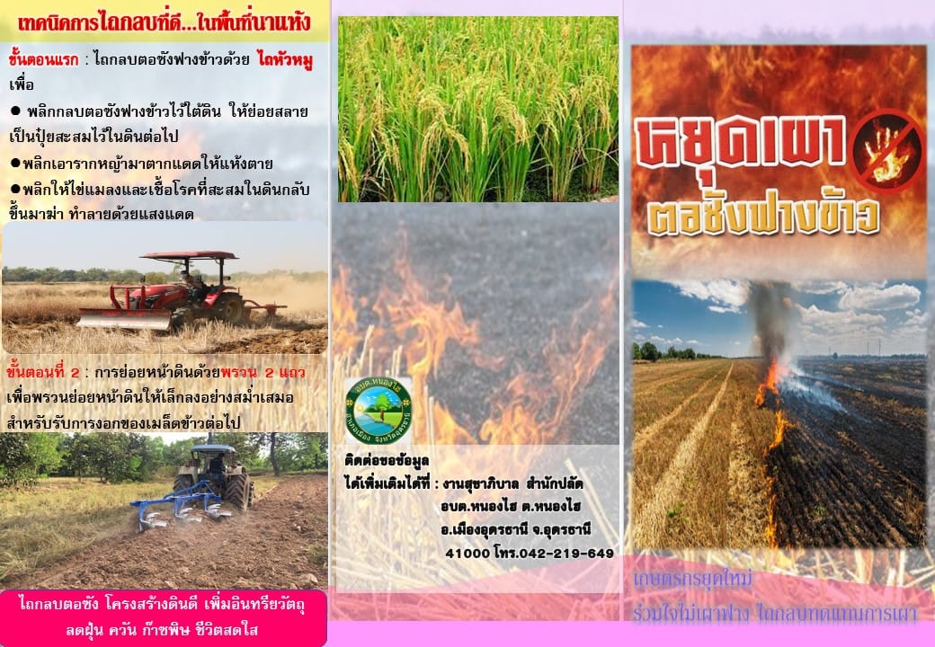 404899490 654284626885050 8588873973041890273 n